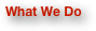 What We Do